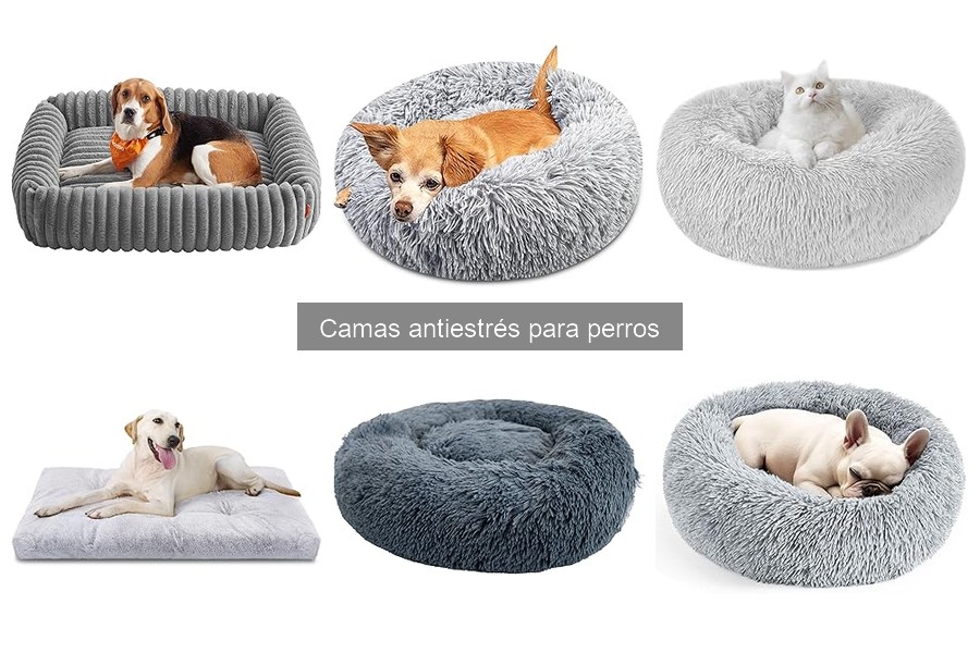 Problemas Comunes con Camas Antiestrés para Perros