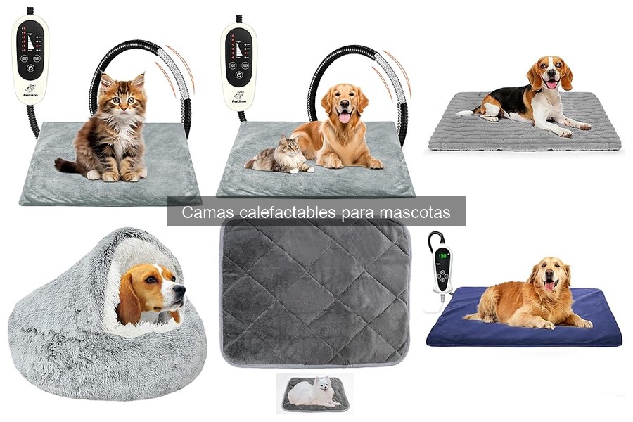 Problemas comunes con camas calefactables para mascotas