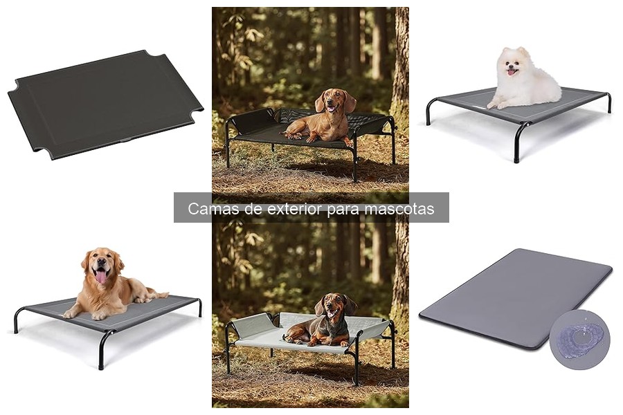Problemas Comunes con Camas de Exterior para Mascotas