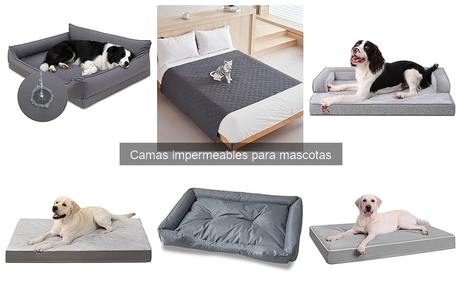 Problemas comunes con camas impermeables para mascotas