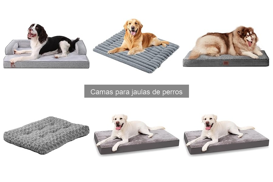 Problemas comunes con camas para jaulas de perros y soluciones
