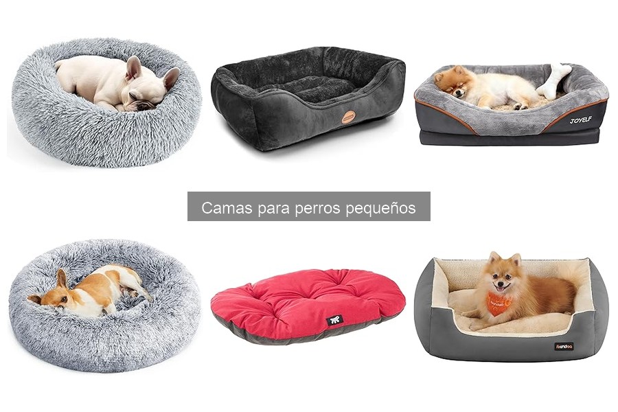 Problemas Comunes con Camas para Perros Pequeños y Soluciones