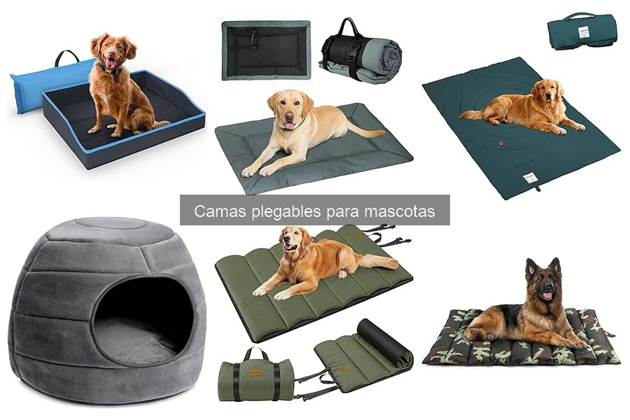 Problemas comunes con camas plegables para mascotas