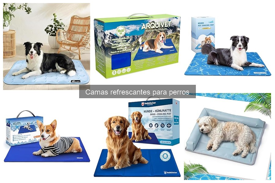 Problemas comunes con camas refrescantes para perros