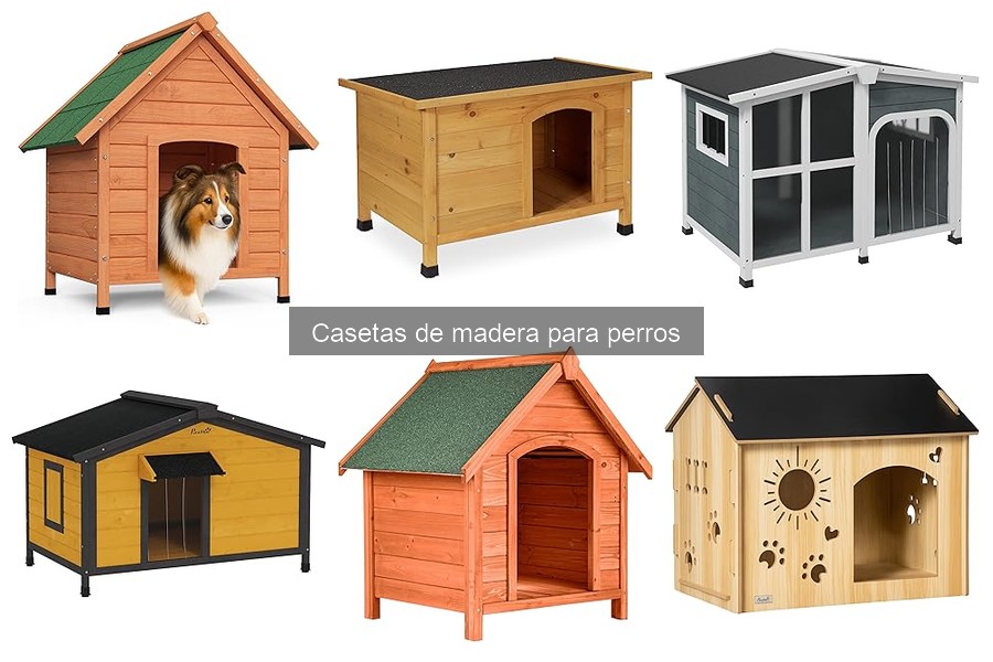 Problemas Comunes con Casetas de Madera para Perros