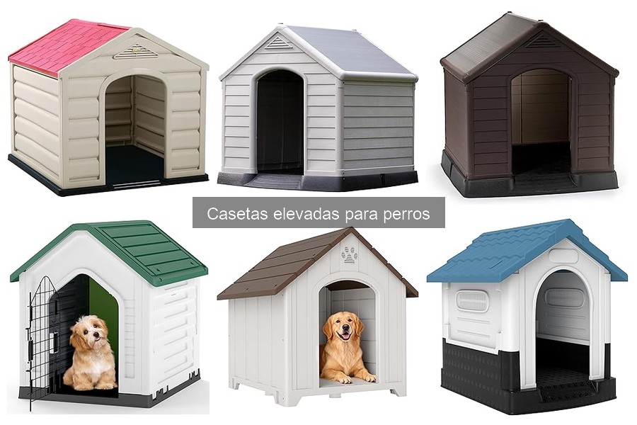 Problemas comunes con casetas elevadas para perros