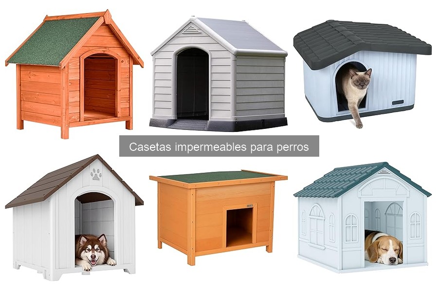 Problemas comunes con casetas impermeables para perros