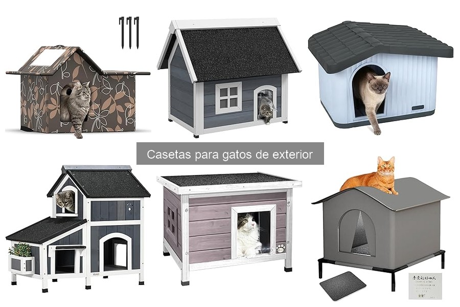 Problemas Comunes con Casetas para Gatos de Exterior