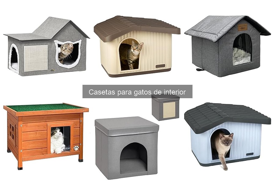 Problemas comunes con casetas para gatos de interior