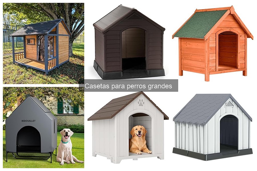 Problemas comunes con casetas para perros grandes y soluciones
