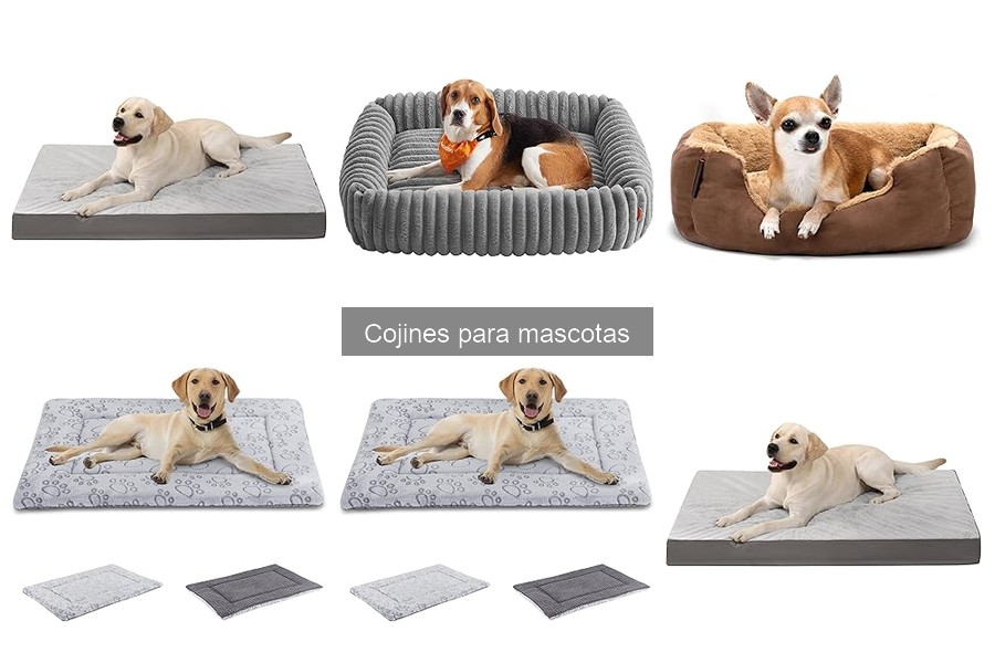 Problemas Comunes con Cojines para Mascotas y Soluciones