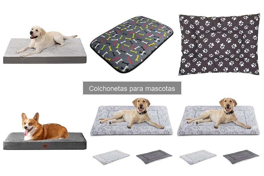 Problemas comunes con colchonetas para mascotas y soluciones