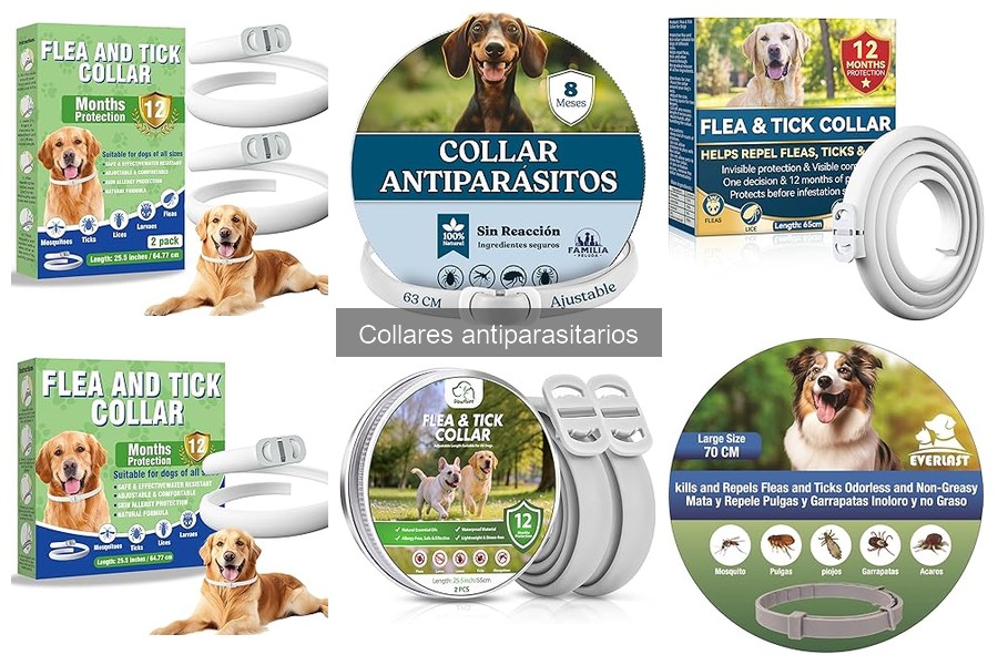 Problemas Comunes con Collares Antiparasitarios en Mascotas