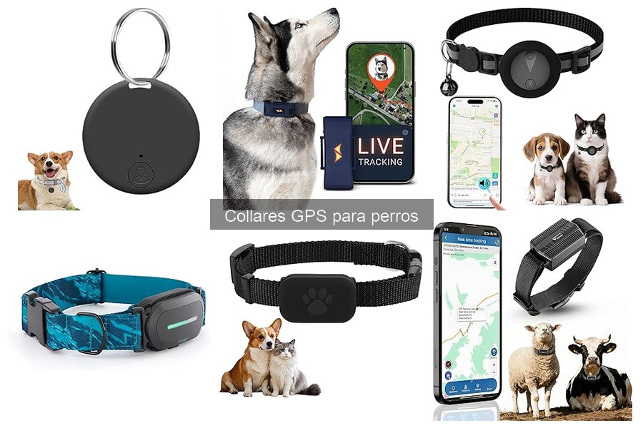 Problemas Comunes con Collares GPS para Perros