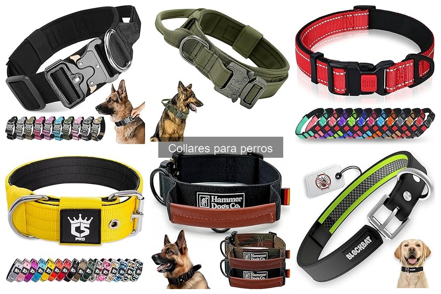 Problemas Comunes con Collares para Perros y Soluciones
