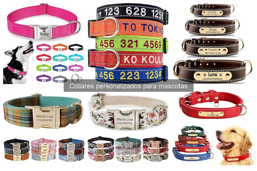 Problemas comunes con collares personalizados para mascotas