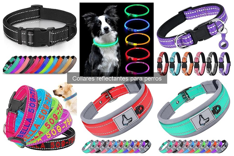 Problemas comunes con collares reflectantes para perros