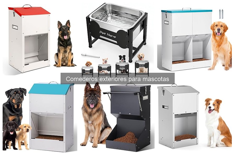 Problemas Comunes con Comederos Exteriores para Mascotas