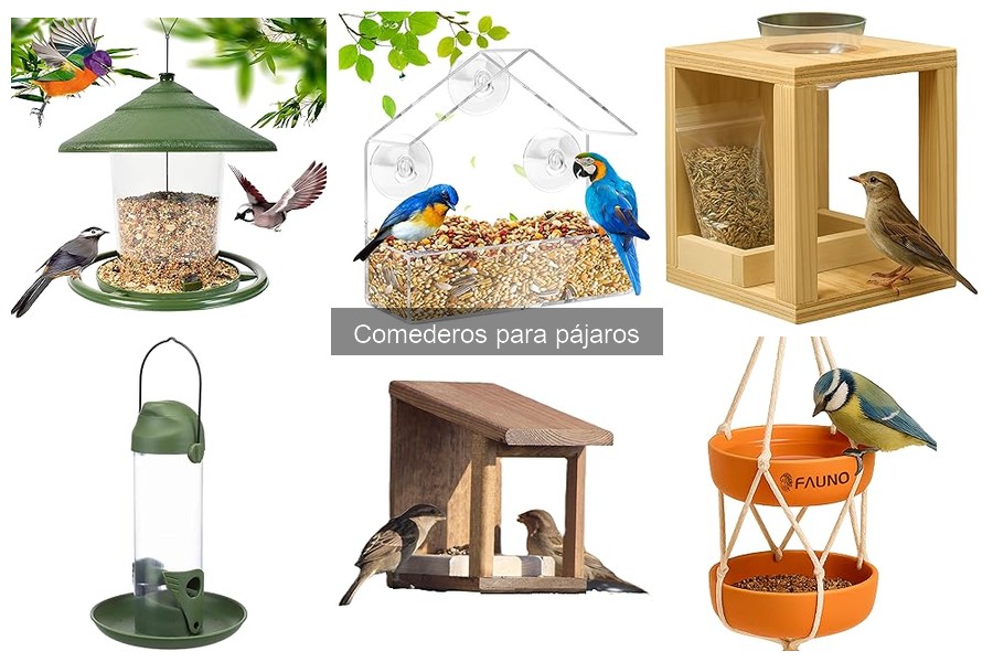 Problemas comunes con comederos para pájaros y soluciones