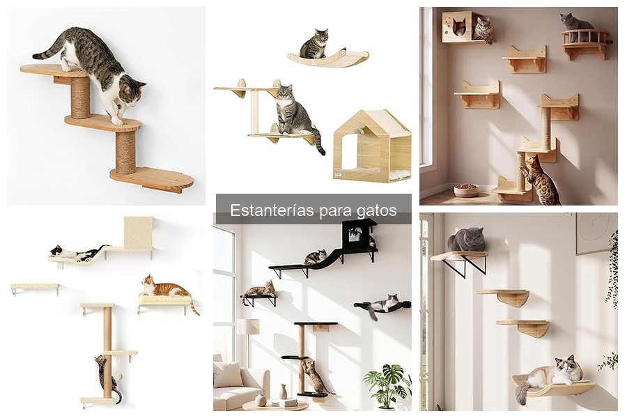 Problemas Comunes con Estanterías para Gatos y Soluciones