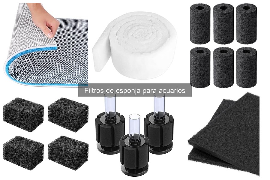 Problemas comunes con filtros de esponja para acuarios