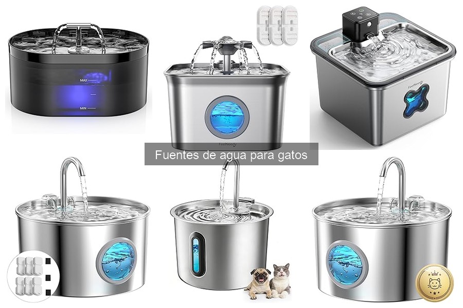 Problemas comunes con fuentes de agua para gatos y soluciones
