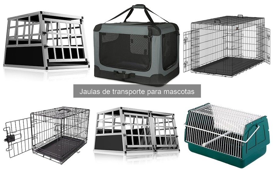 Problemas comunes con jaulas de transporte para mascotas