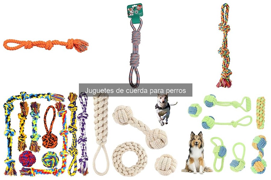 Problemas Comunes con Juguetes de Cuerda para Perros