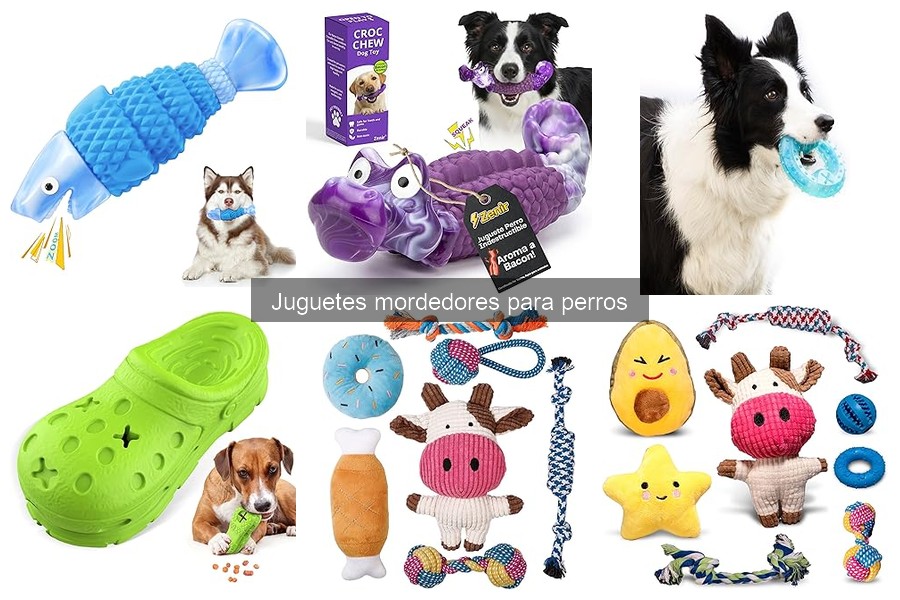 Problemas comunes con juguetes mordedores para perros