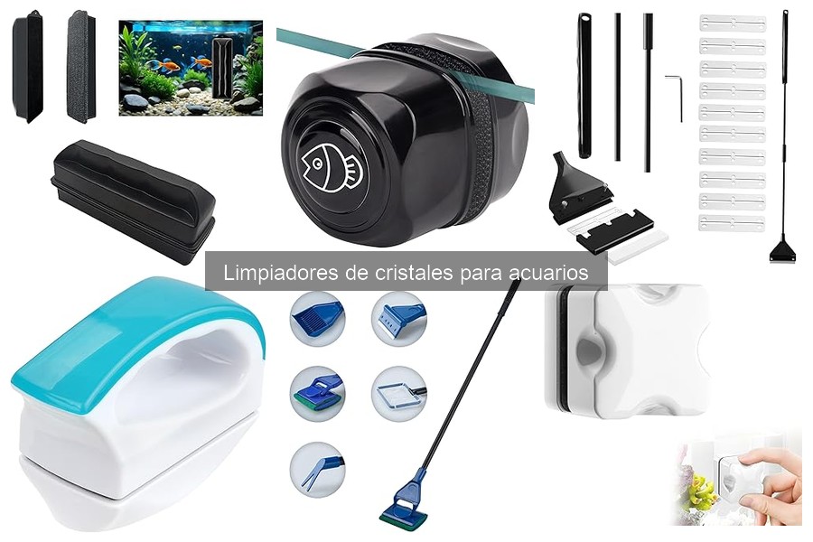 Problemas comunes con limpiadores de cristales para acuarios