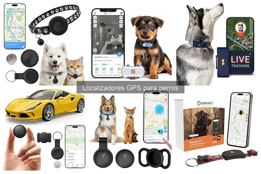 ** Problemas Comunes con Localizadores GPS para Perros y Soluciones