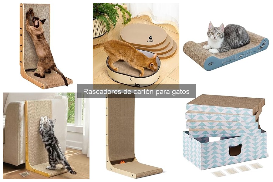 Problemas comunes con rascadores de cartón para gatos