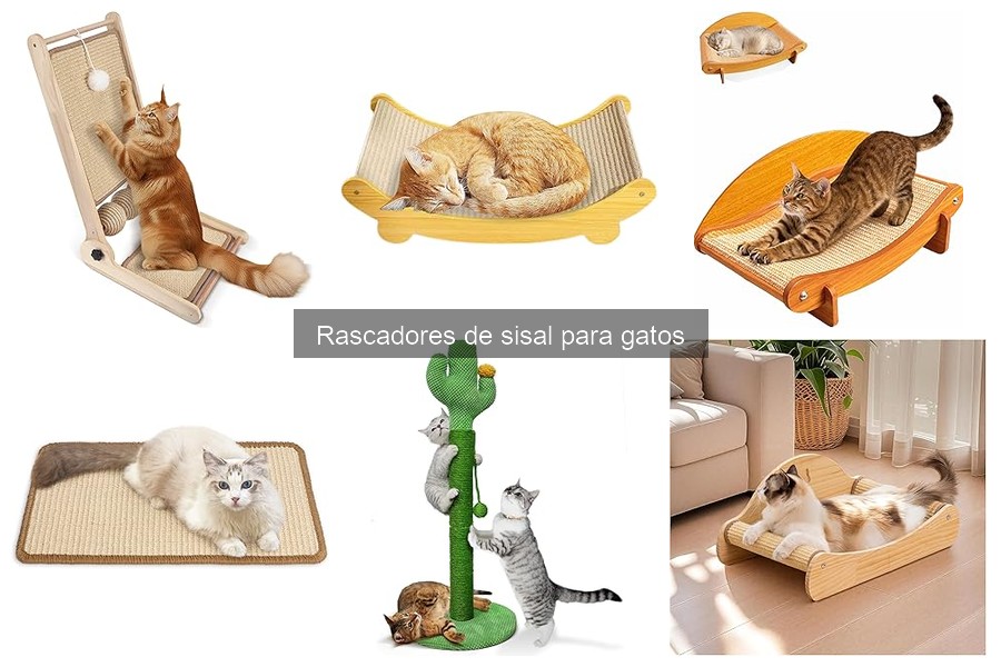 Problemas Comunes con Rascadores de Sisal para Gatos y Soluciones