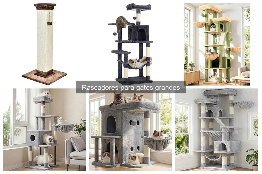 Problemas comunes con rascadores para gatos grandes y soluciones