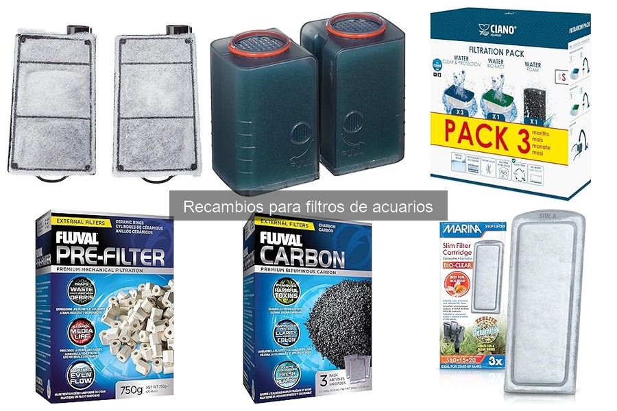Problemas comunes con recambios de filtros de acuarios