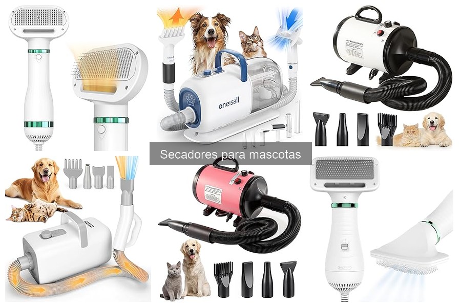 Problemas comunes con secadores para mascotas y soluciones