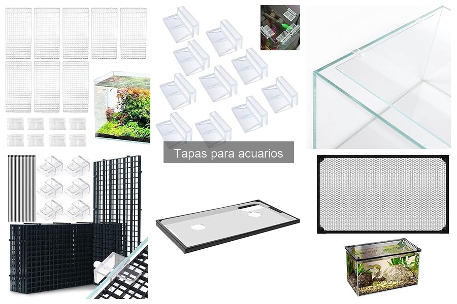 Problemas Comunes con Tapas para Acuarios y Soluciones