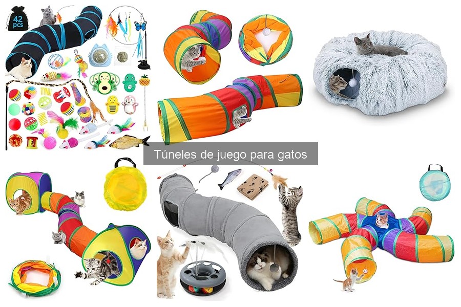 Problemas Comunes con Túneles de Juego para Gatos