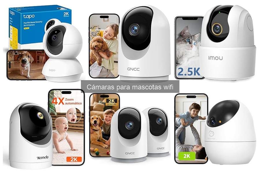 Problemas comunes en cámaras para mascotas wifi y soluciones