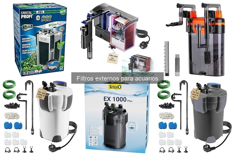 Problemas frecuentes con filtros externos para acuarios