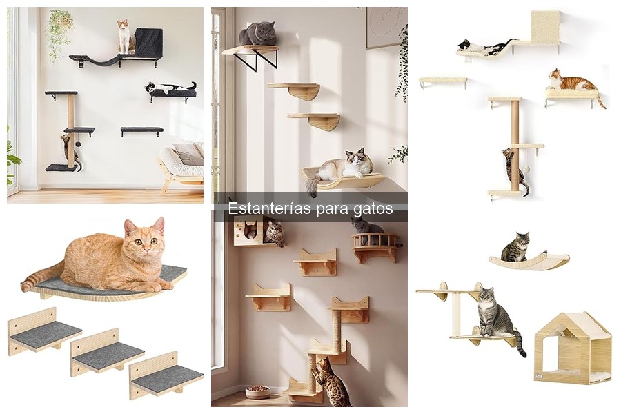 Pros y Contras de las Estanterías para Gatos