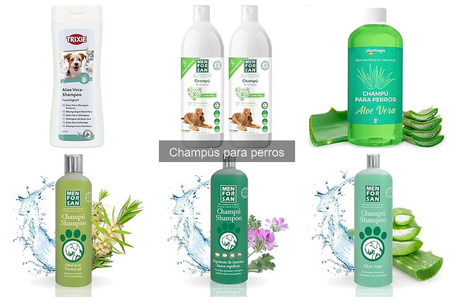 ¿Puedo usar champú para humanos en perros? Efectos y riesgos