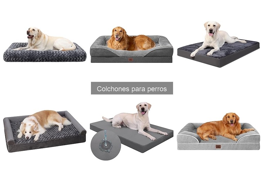 ¿Qué colchón es mejor para mi perro? Comparativa 2023
