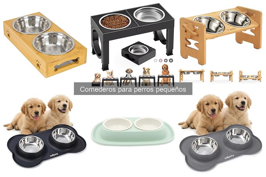 Qué considerar si tu perro pequeño tiene problemas para comer
