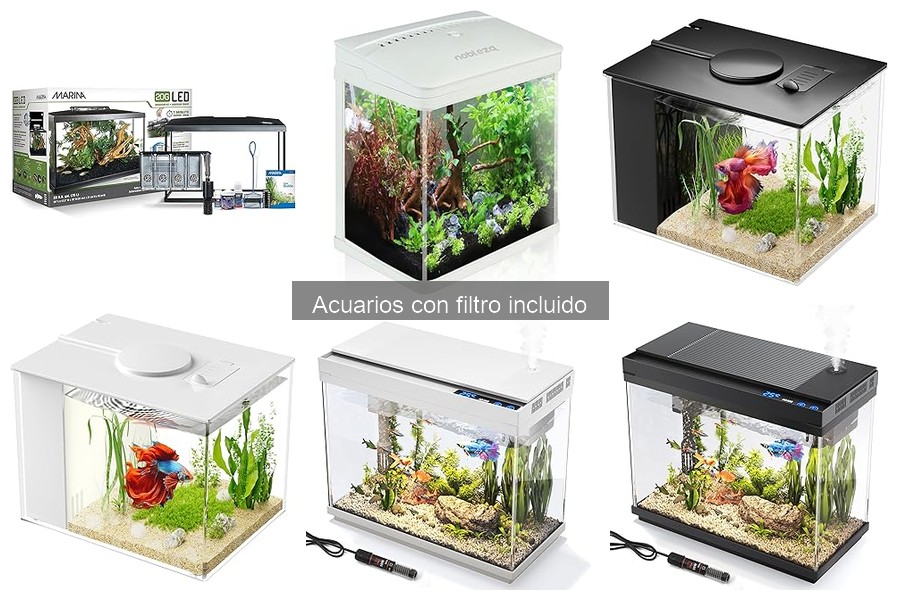 ¿Qué es un acuario con filtro incluido? Ventajas y características