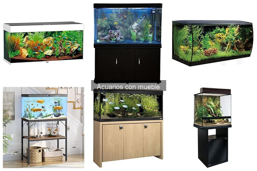 ¿Qué es un acuario con mueble? Descubre sus características