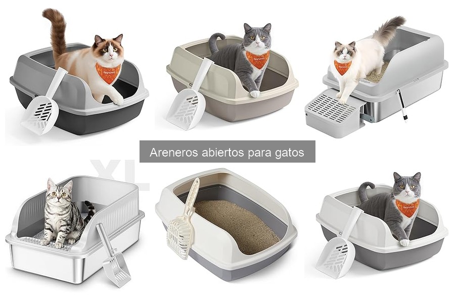 ¿Qué es un arenero abierto para gatos? Ventajas y características