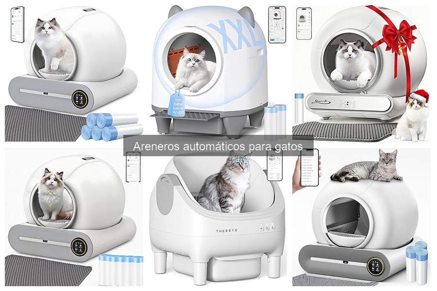 ¿Qué es un arenero automático para gatos? Descúbrelo aquí