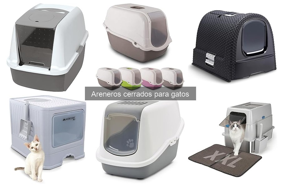 ¿Qué es un arenero cerrado para gatos? Características y Funcionalidad