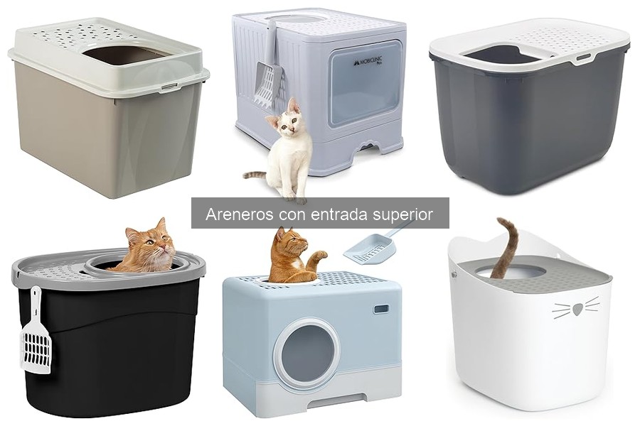 ¿Qué es un arenero con entrada superior? Ventajas y características